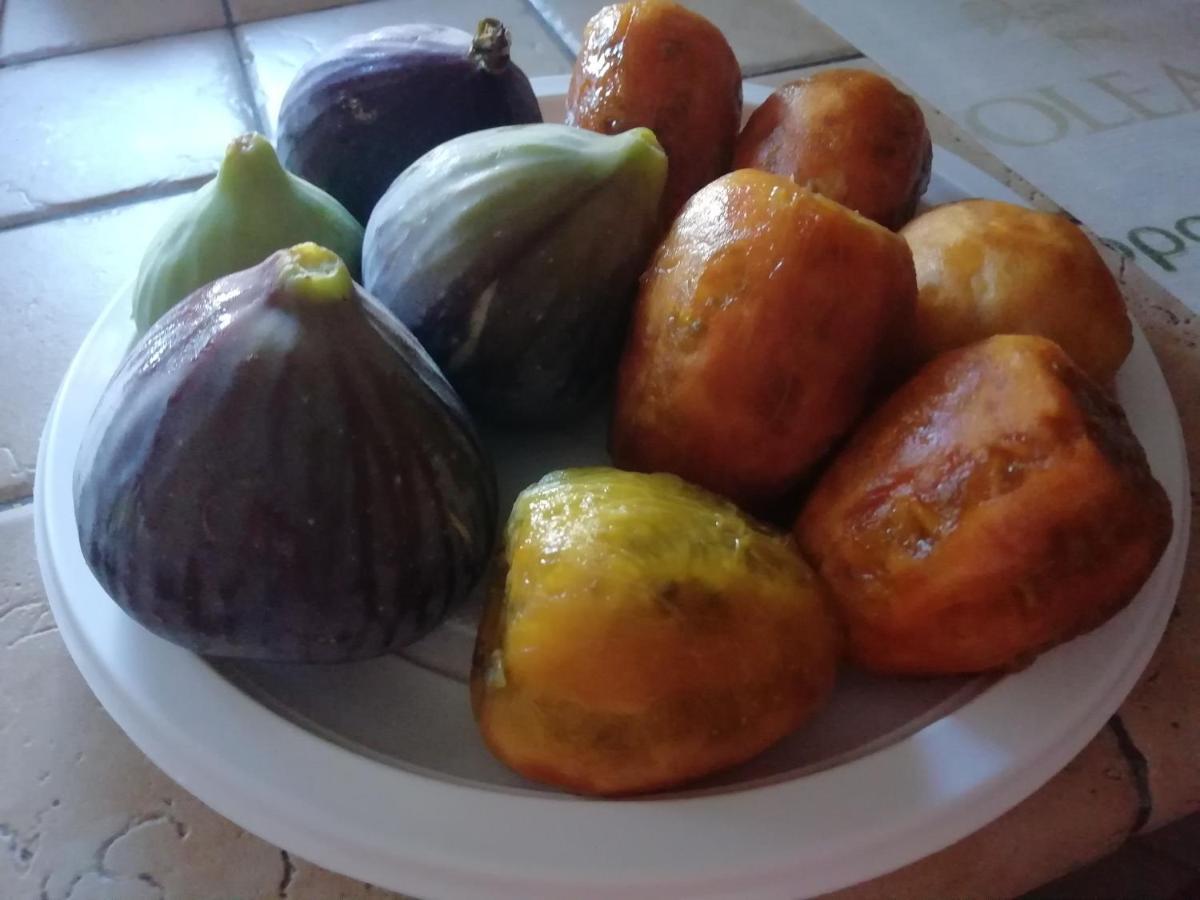 דירות אלברובלו I Due Campanili מראה חיצוני תמונה